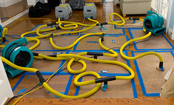 Professional Water Damage Repair technician working in Woodsfield, OH