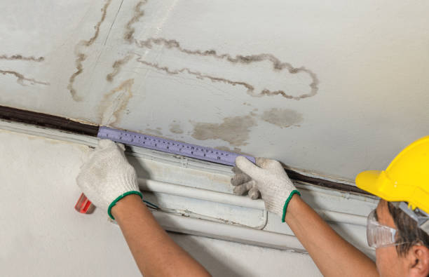 Affordable Water Damage Repair solutions in Woodsfield, OH